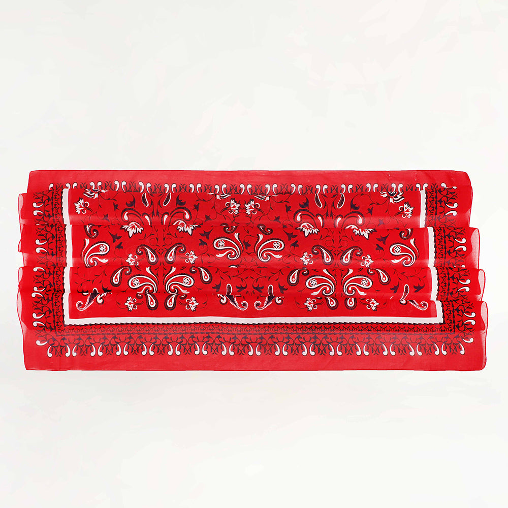 Bandana Canyon Silk Scarves Scarlet
