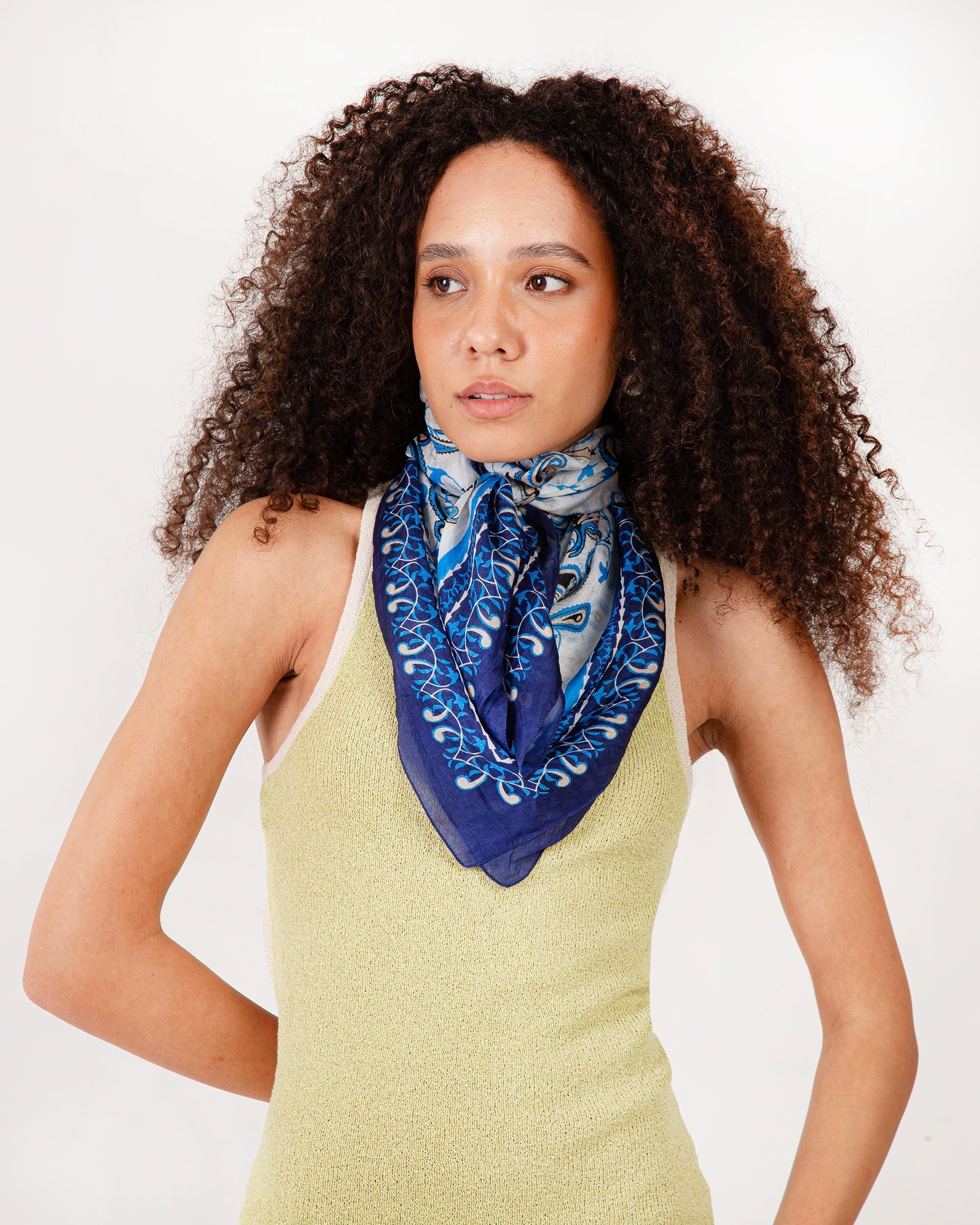 Bandana Canyon Silk Scarves Blue