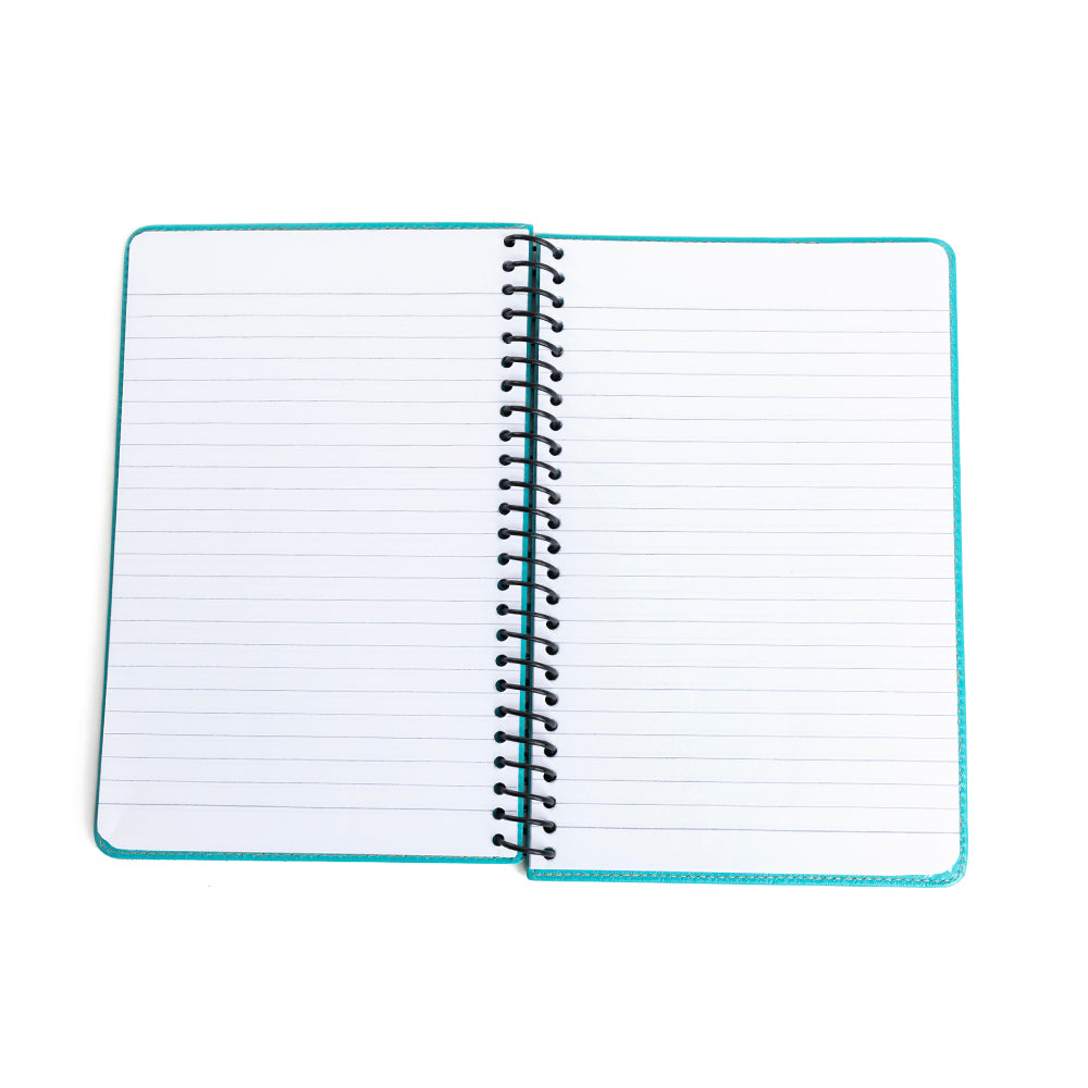 Steerhallow Canyon Diary Variant Combo