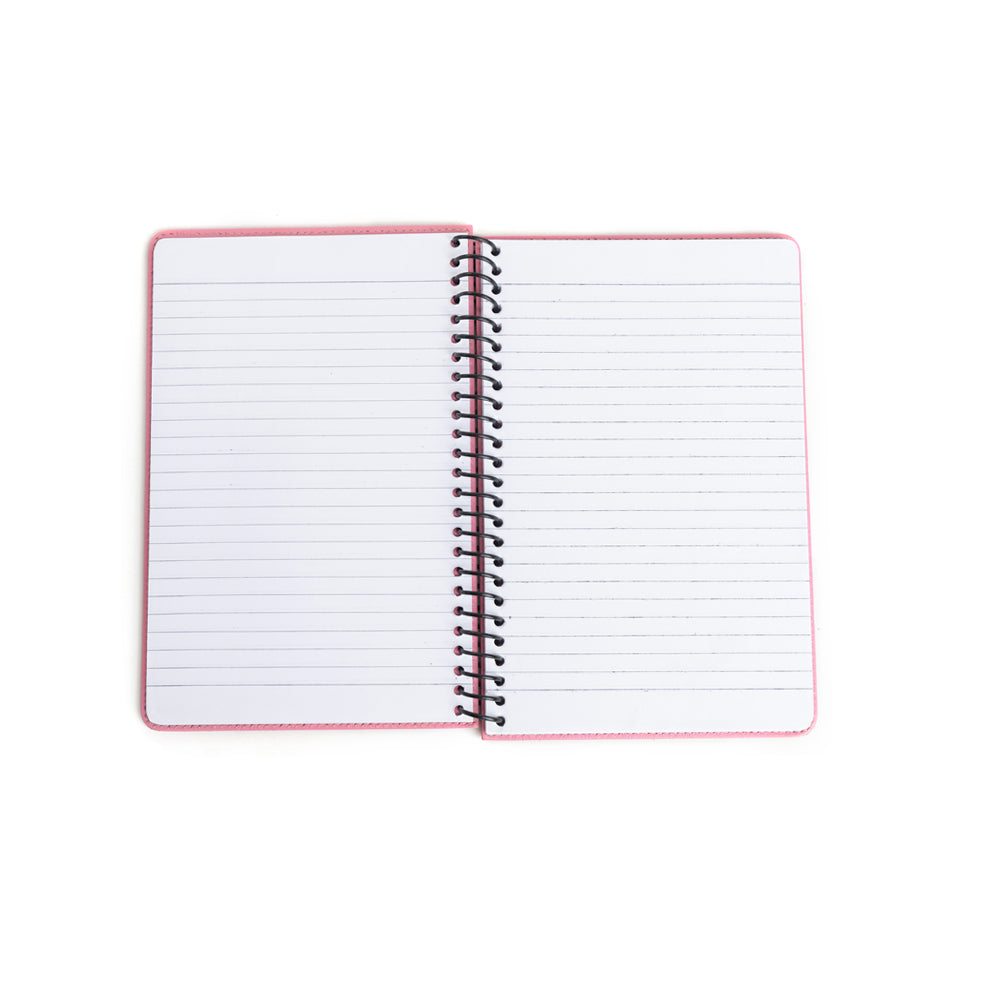 Steerhallow Canyon Diary Variant Combo