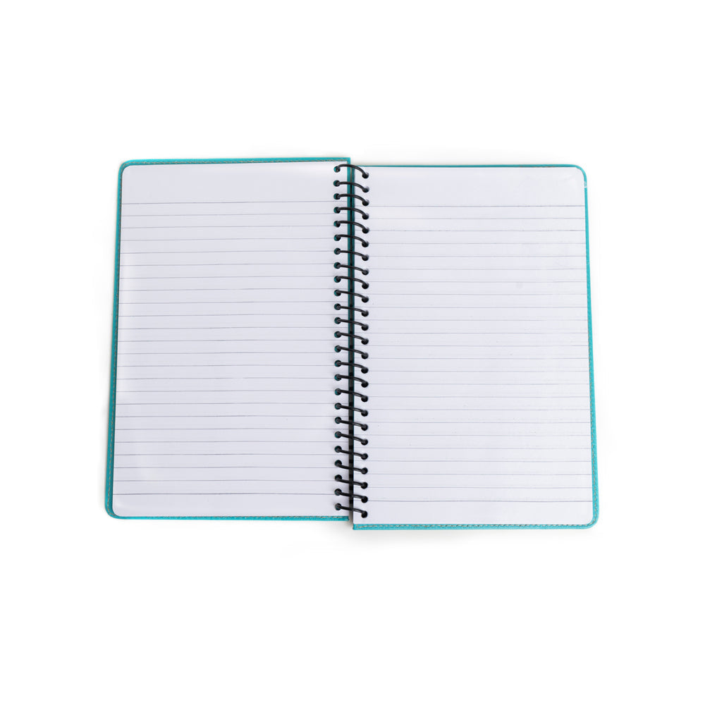 Steerhallow Canyon Diary Variant Combo