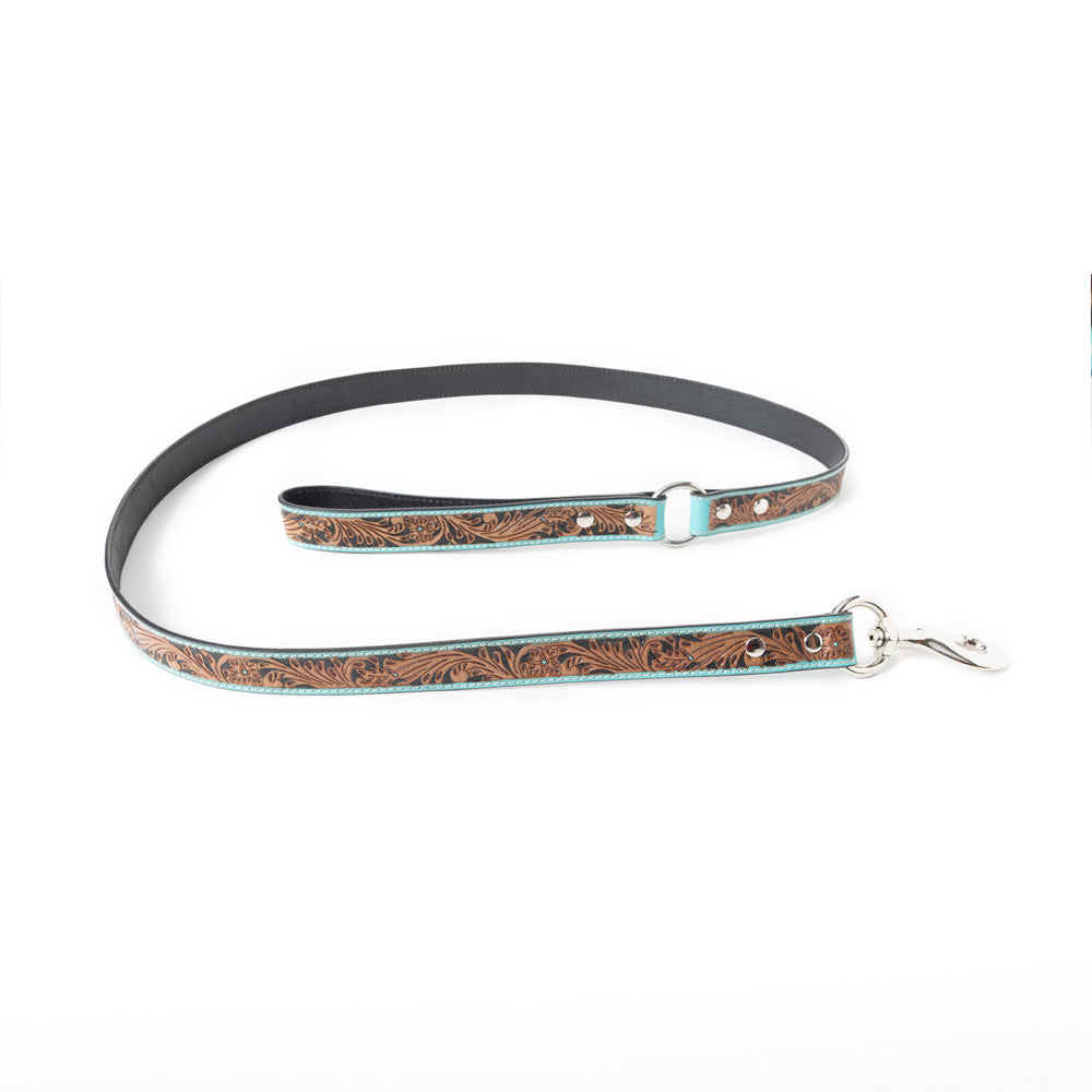 Luna Beam Dog Leash