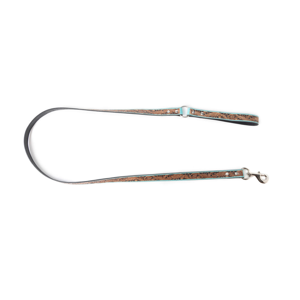Luna Beam Dog Leash