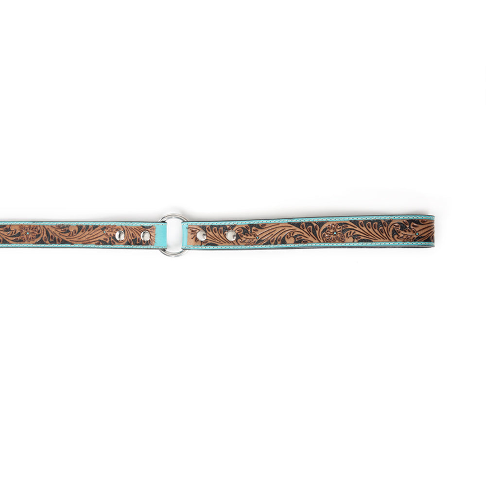 Luna Beam Dog Leash