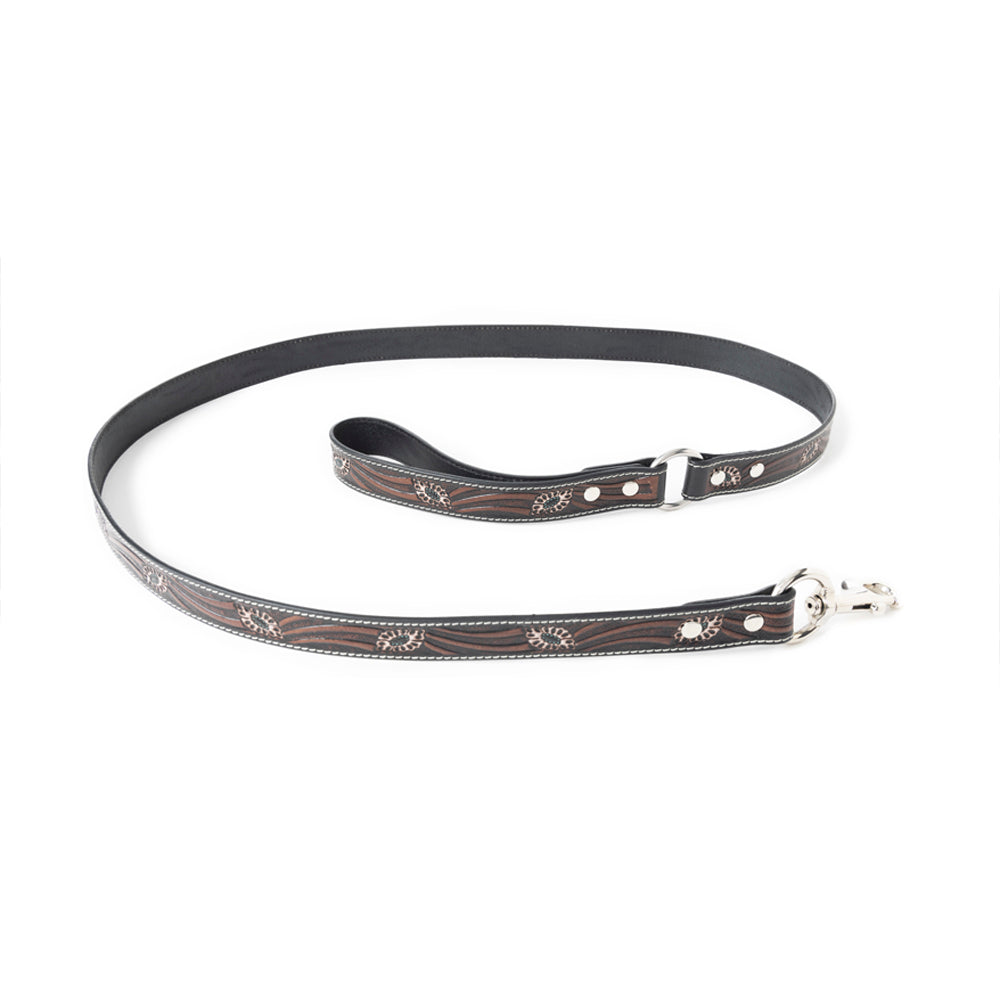 Luna Beam Dog Leash