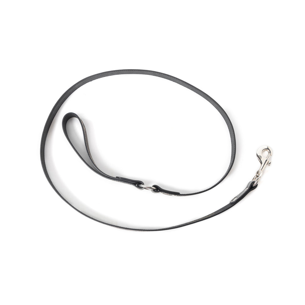 Luna Beam Dog Leash