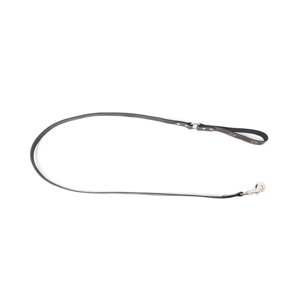 Luna Beam Dog Leash