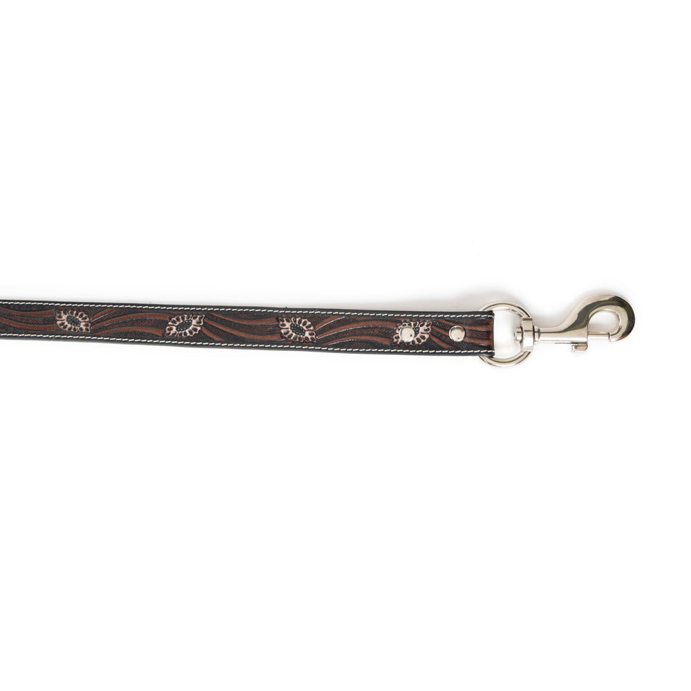 Luna Beam Dog Leash