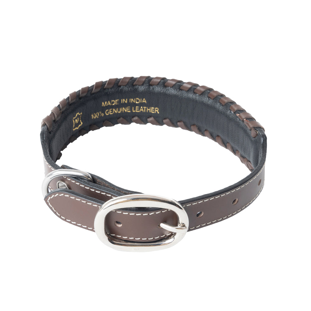 Freedom Trail Dog Collar In Black & Turquoise