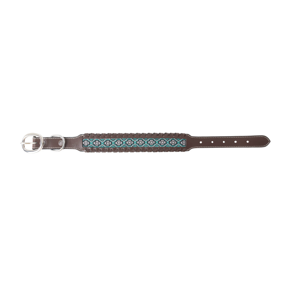Freedom Trail Dog Collar In Black & Turquoise
