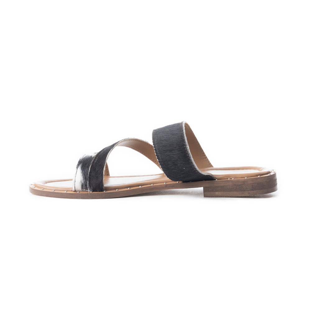 Ranch Ridge Slides In Black & White