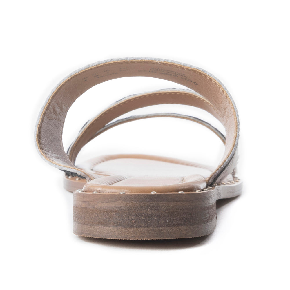 Ranch Ridge Slides In Black & White