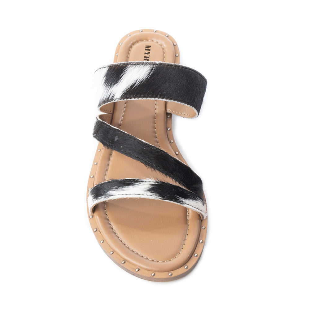 Ranch Ridge Slides In Black & White