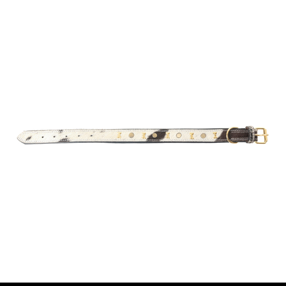 Prairie Paws Studded Hairon Dog Collar in Ash & Ivory