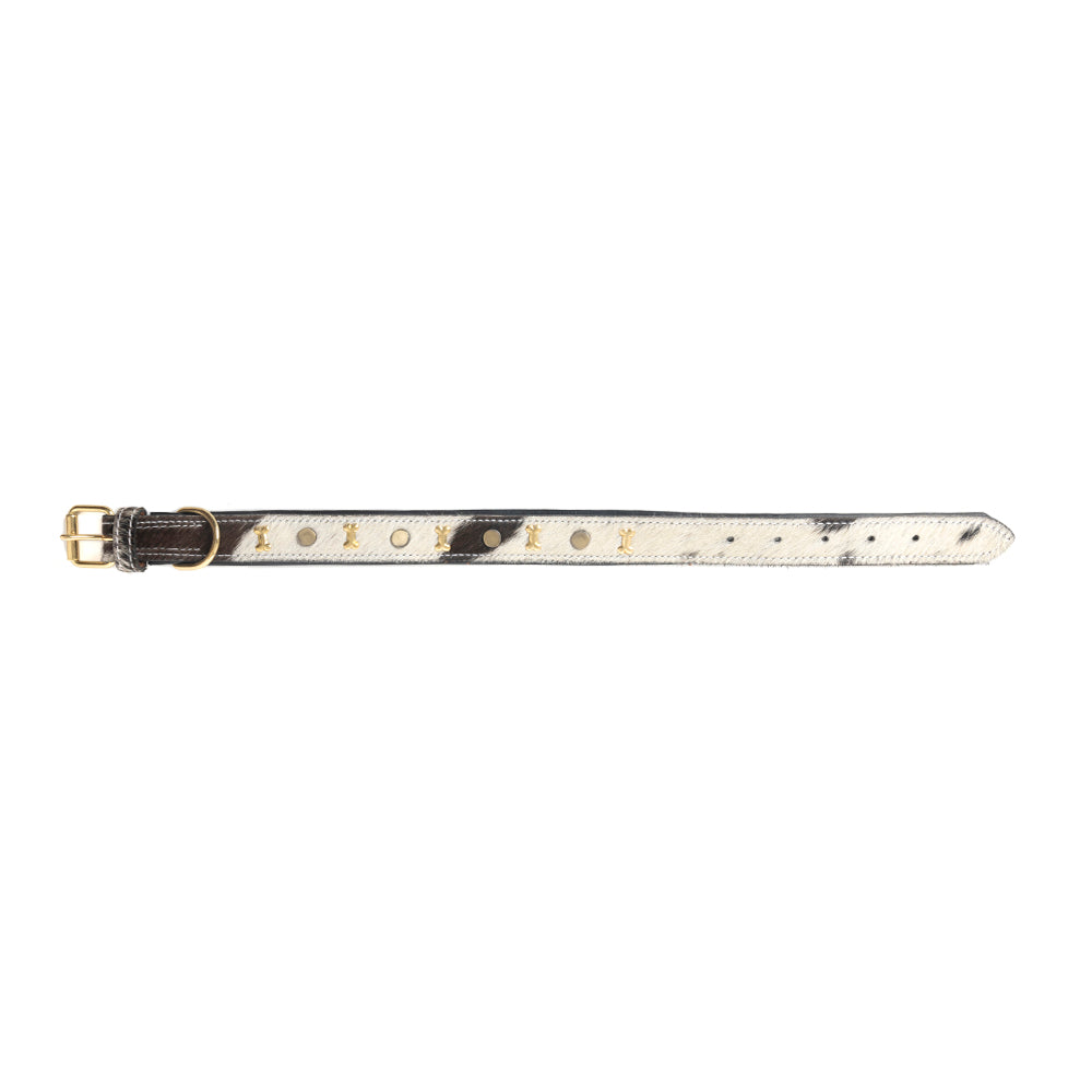 Prairie Paws Studded Hairon Dog Collar in Ash & Ivory