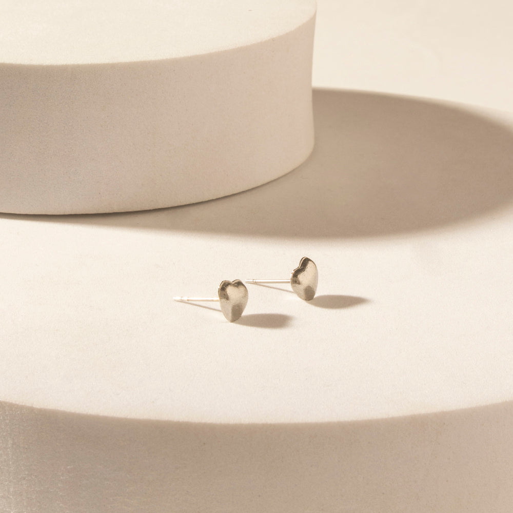 Moonbeam Earrings Set in Silver Shine