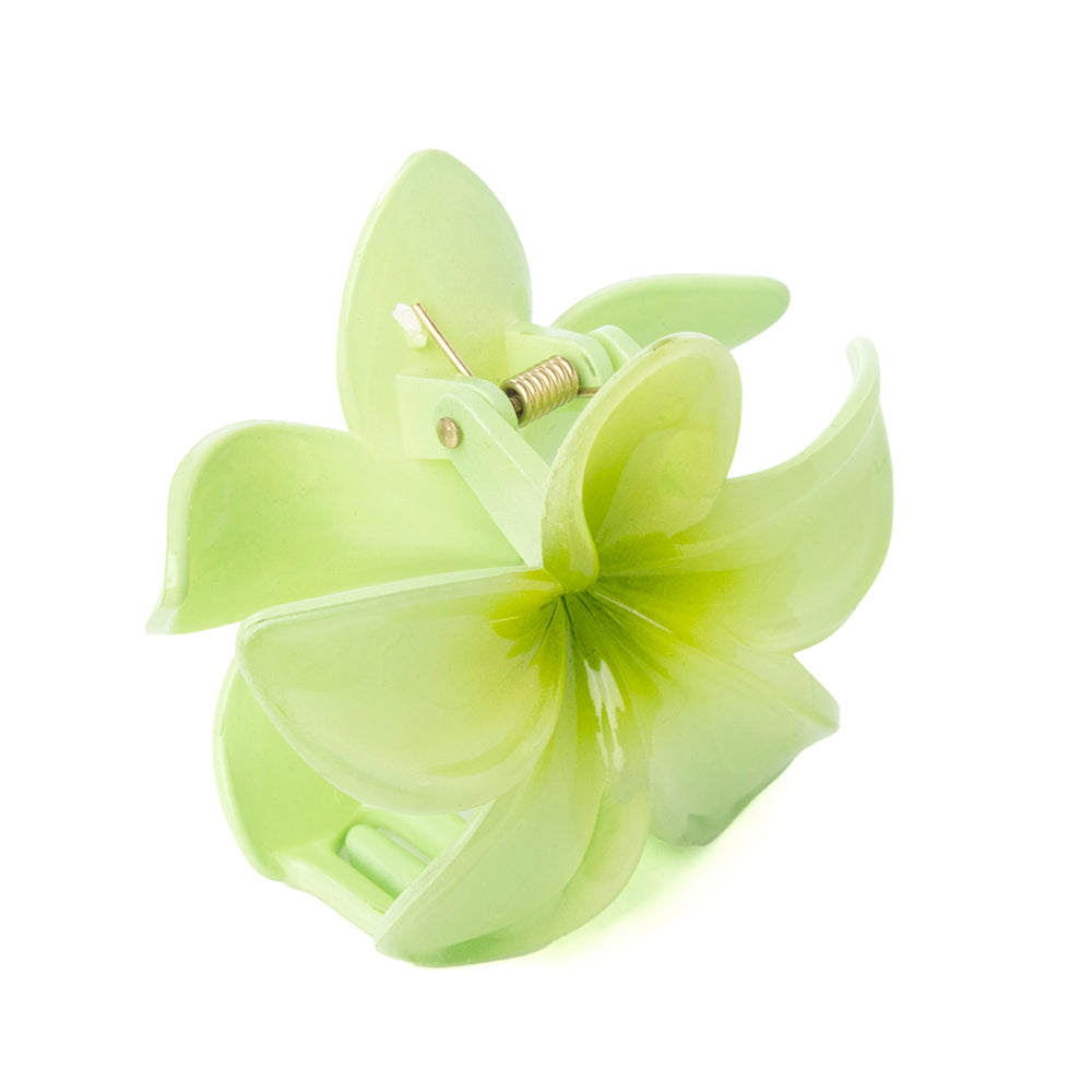 Desert Ridge Blossom Hair Clip in Cactus