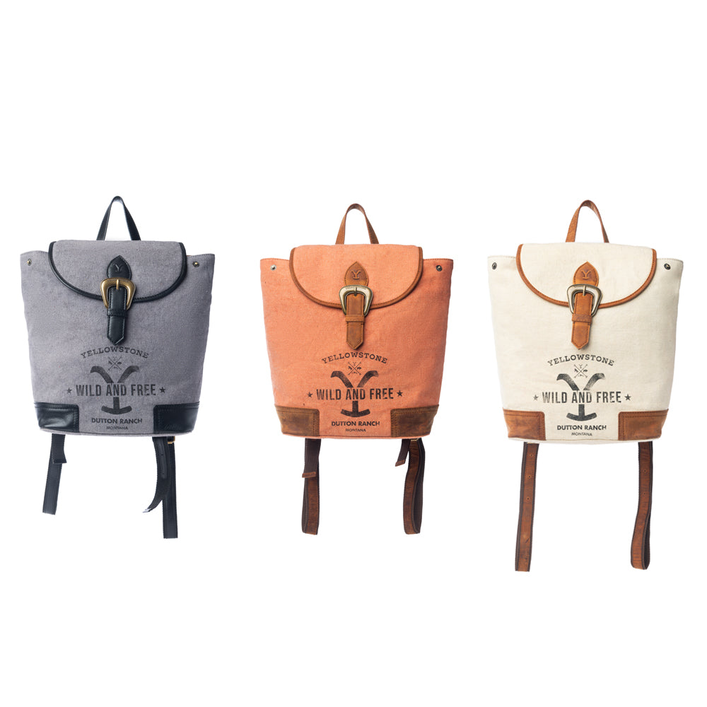 Yellowstone Paradise Valley Backpack Variant Combo