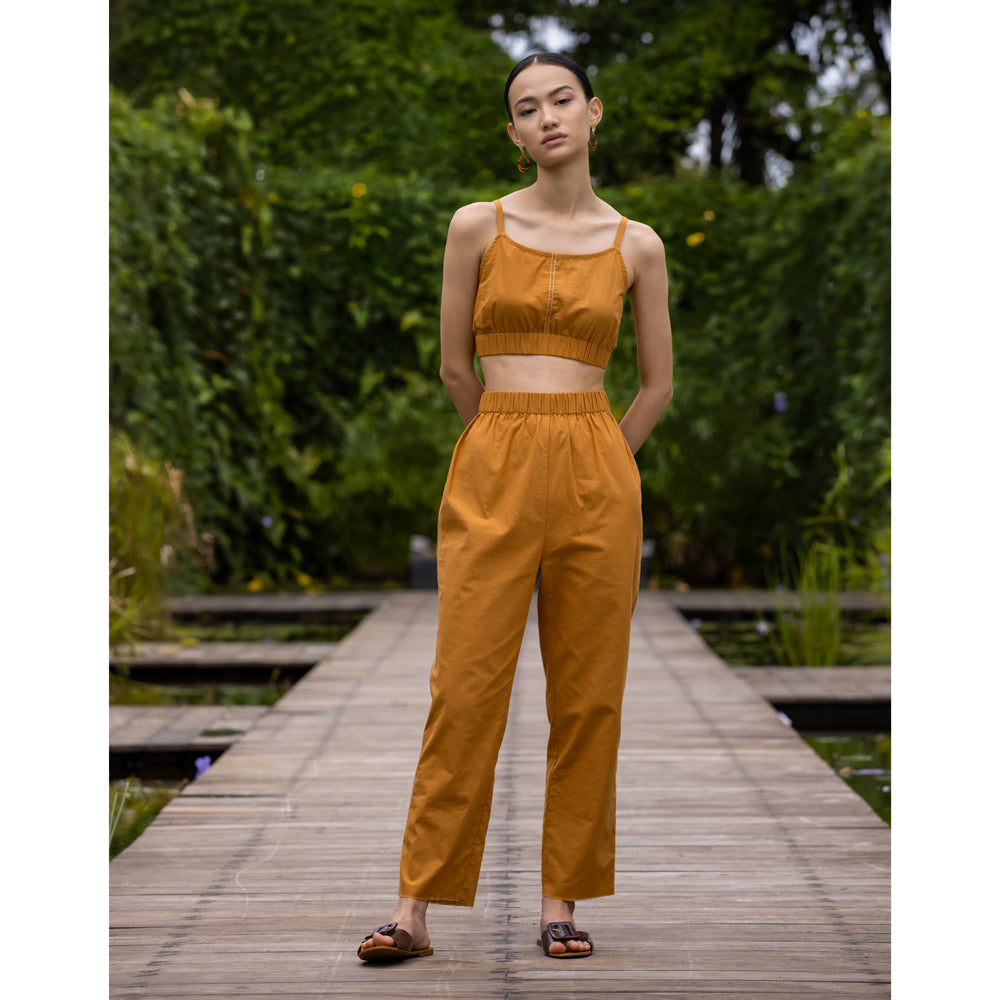 Mustardy Belle Set Of Two