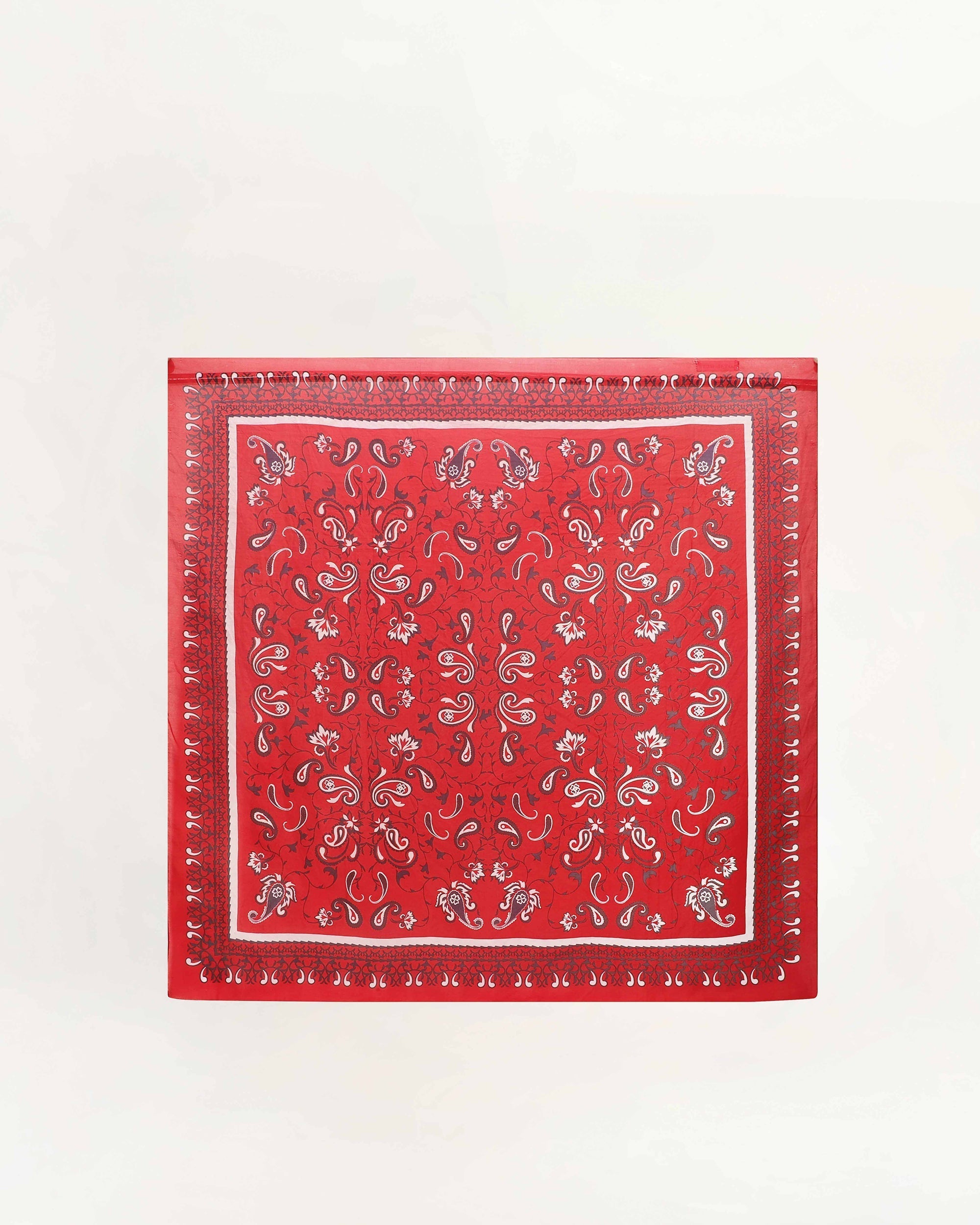 Bandana Canyon Silk Scarves Scarlet