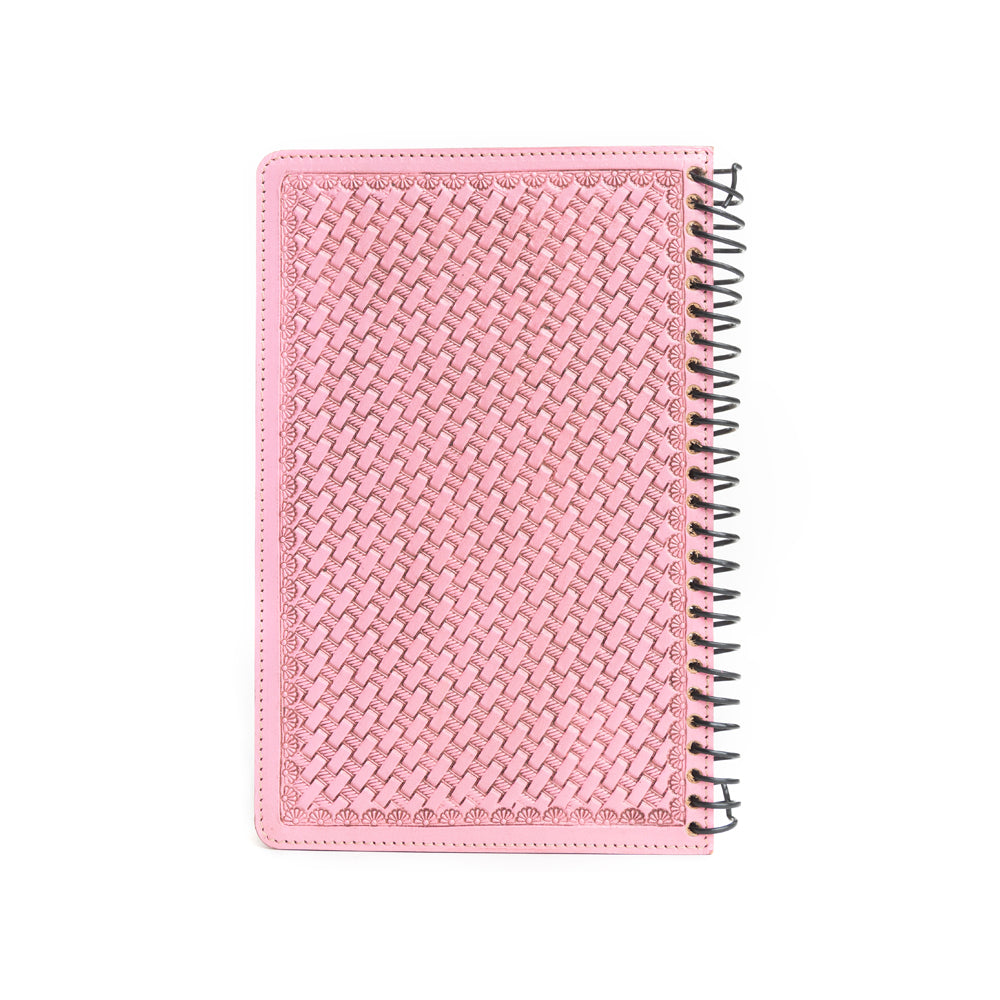 Steerhallow Canyon Diary Variant Combo