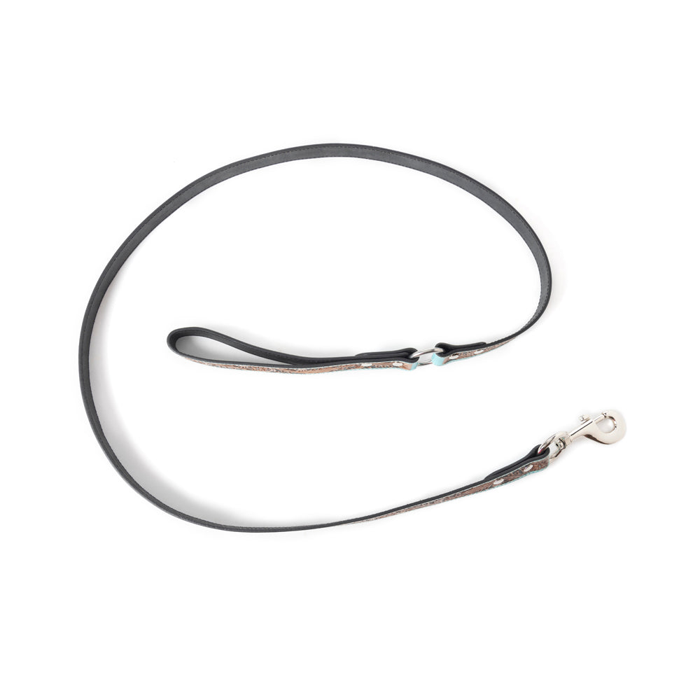 Luna Beam Dog Leash