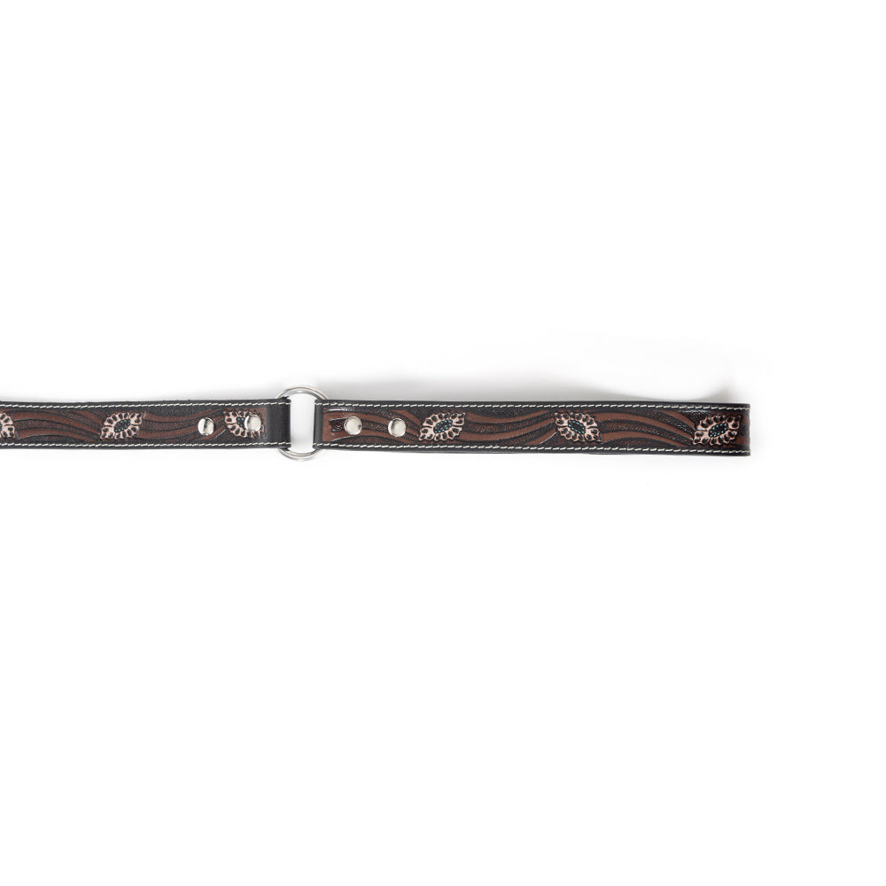 Luna Beam Dog Leash