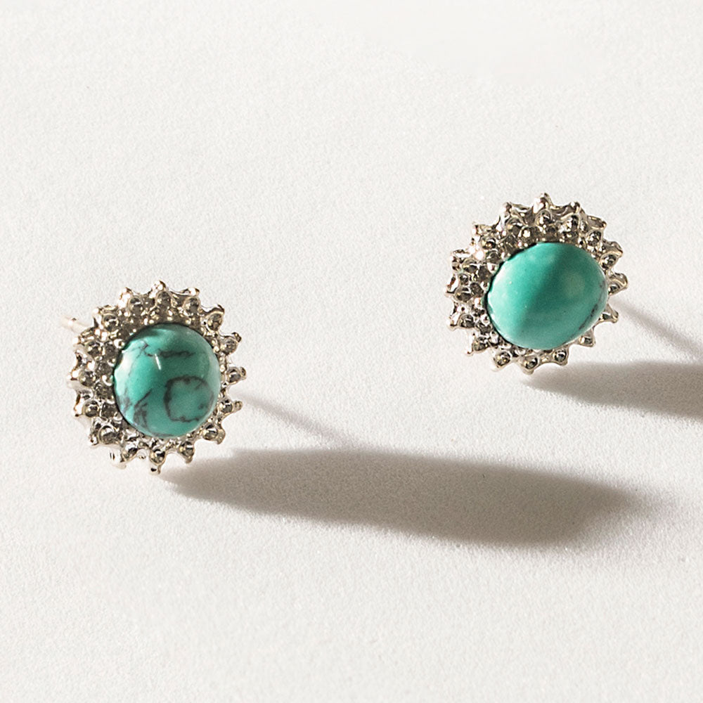 Turquoise Trails & Silver Tales Set of 16 Earrings