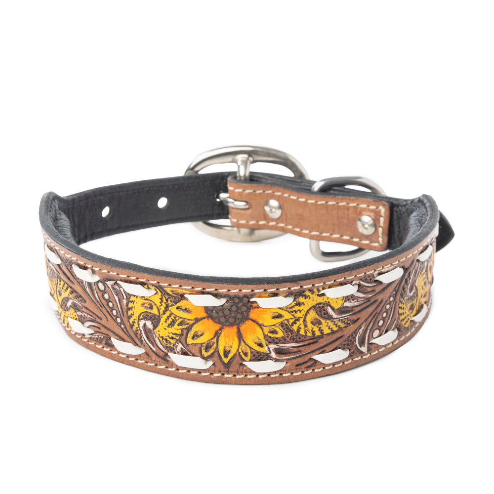Prairie Sunflower Trail Dog Collar in Sandstone