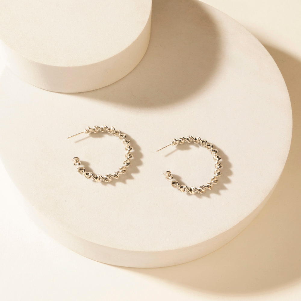 Moonbeam Earrings Set in Silver Shine