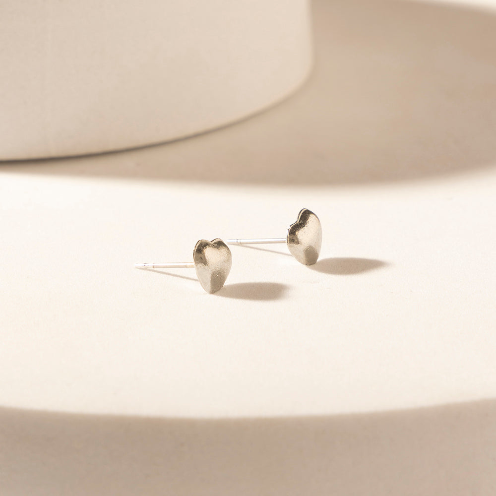 Moonbeam Earrings Set in Silver Shine