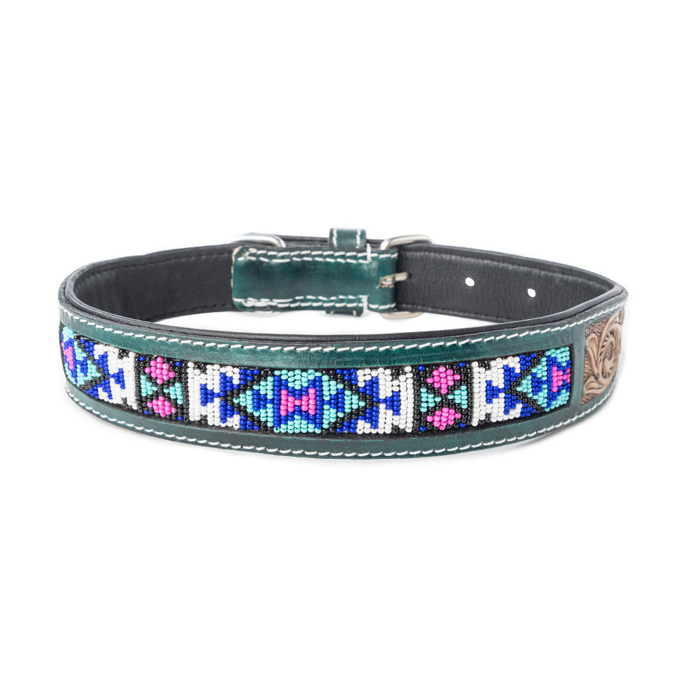 Turquoise Blossom Western Dog Collar in Brown